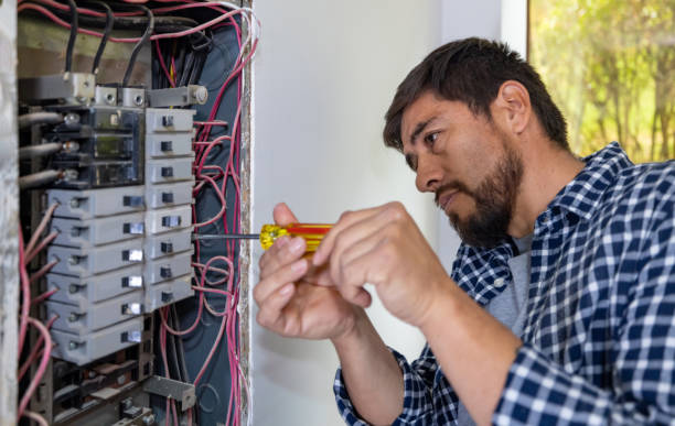 Best Electric Panel Repair  in Hazlehurst, GA